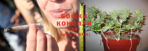 стафф Куйбышев