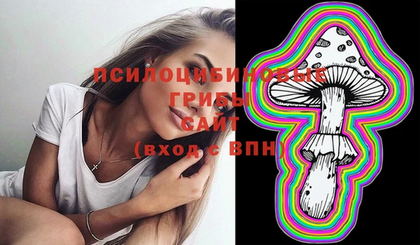 мет Кукмор