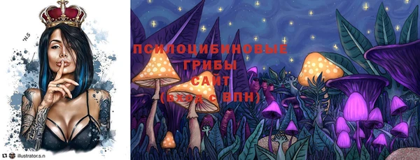 мет Кукмор