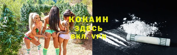 стафф Куйбышев