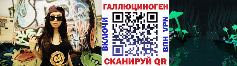 купить   Норильск  Псилоцибиновые грибы Cubensis 