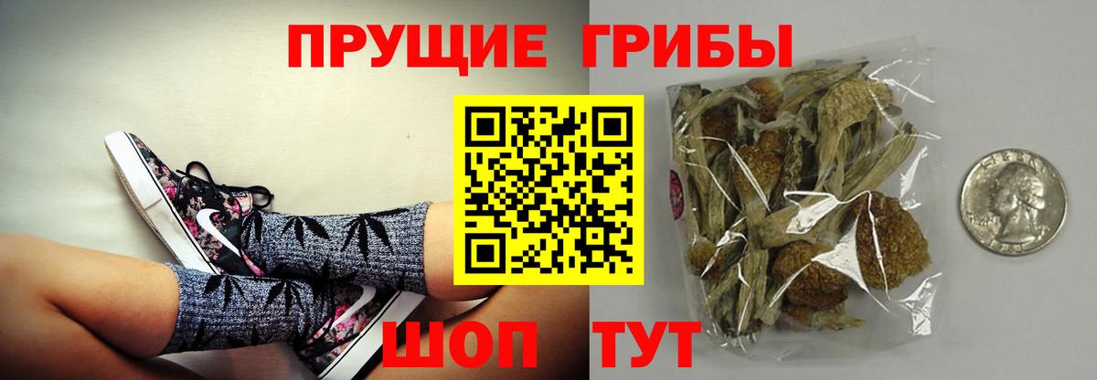Псилоцибиновые грибы прущие грибы Норильск